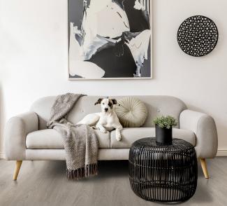 Greenland Grey salon