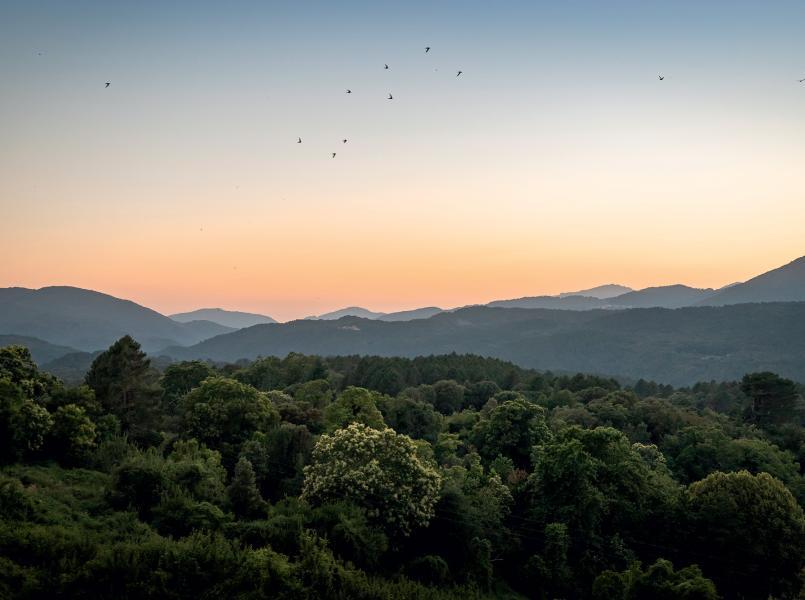 gerflor-nos-engagements