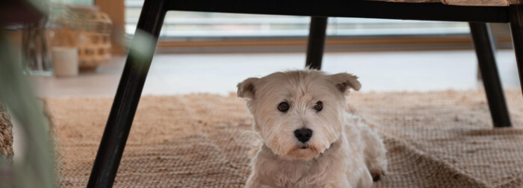 clem around the corner virtuo minimalist trend